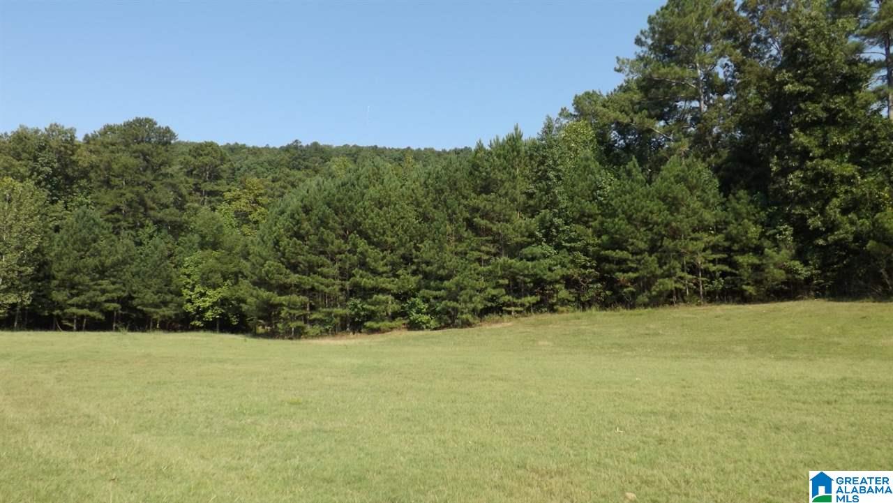 0 Quail Ridge Road, Unit 1 Oneonta, AL 35121 - Photo 7 of 18
