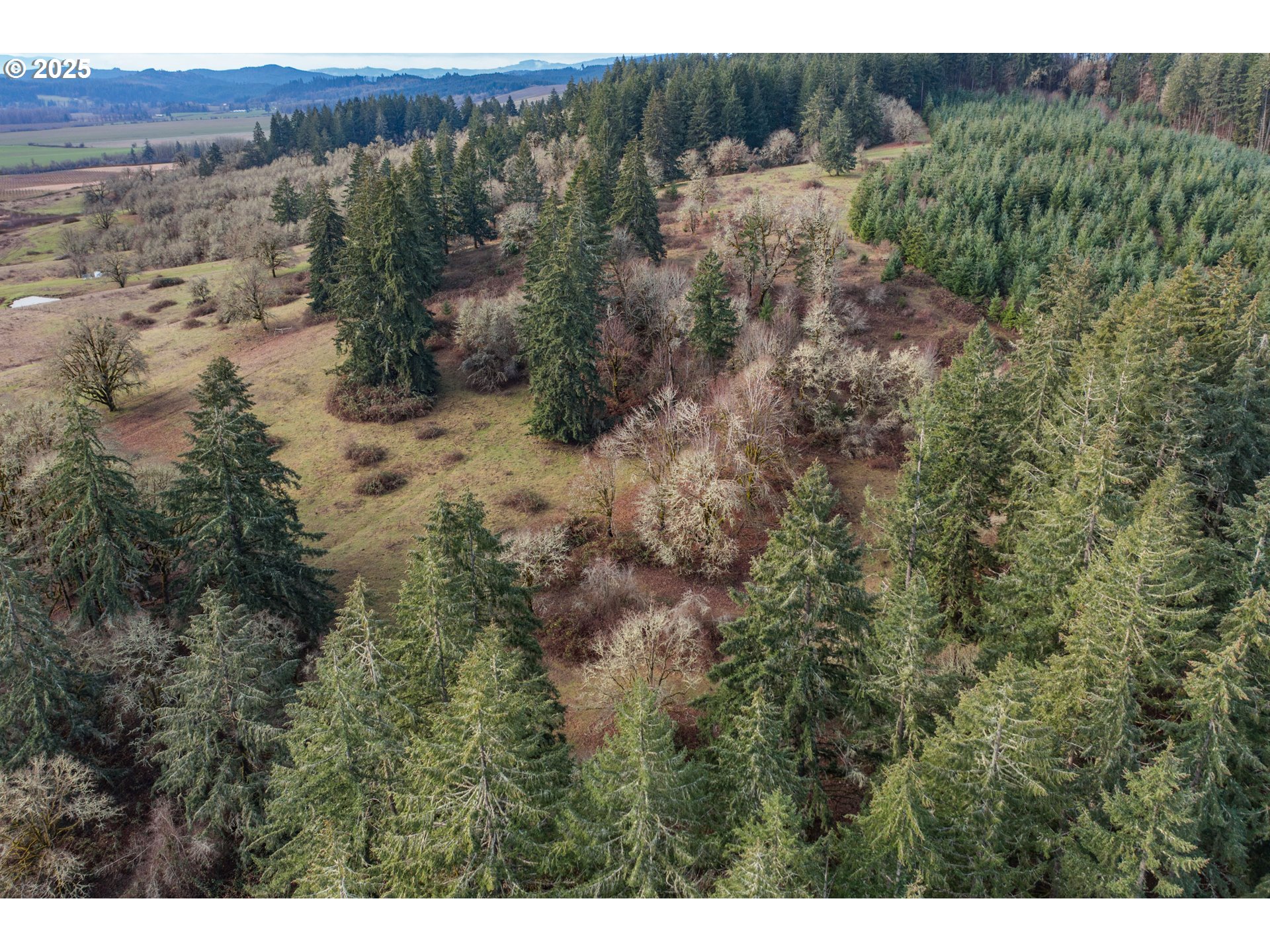 0 Airlie Road Monmouth, OR 97361 - Photo 19 of 33 Gallery Image 19