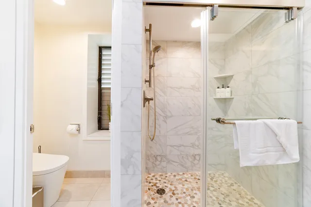 a bathroom with a shower and a toilet