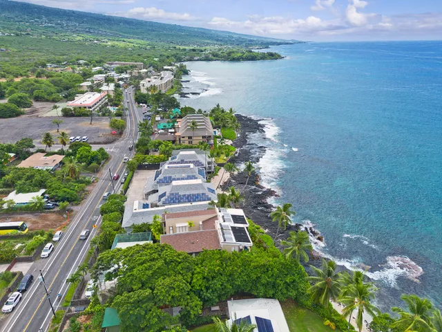 a view of a dry yard with trees