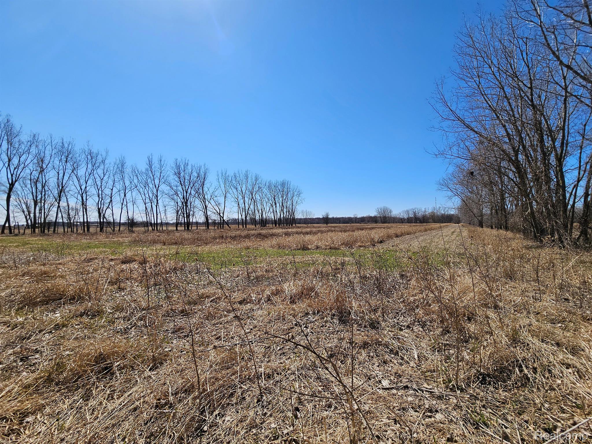 0 Martin Road North Imlay City, MI 48444 - Photo 8 of 12 Gallery Image 8