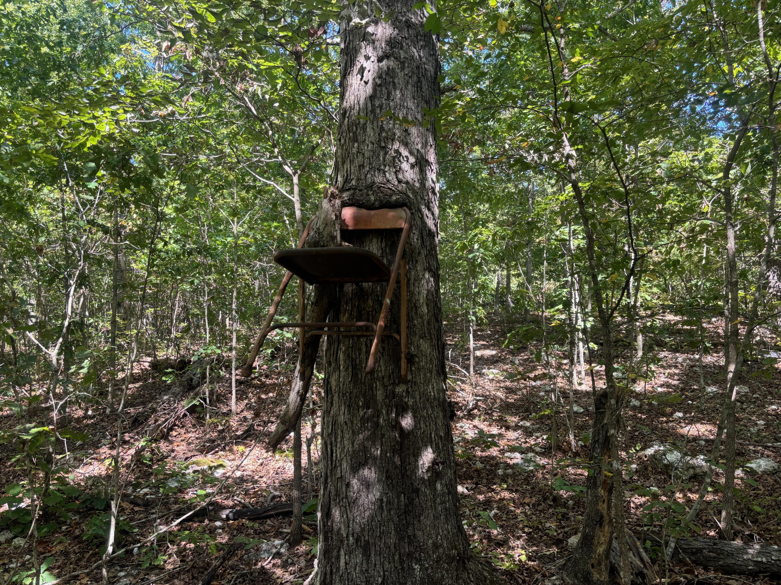 0 Ridgehaven Road Mammoth Spring, AR 72554 - Photo 5 of 32 IMG_2921