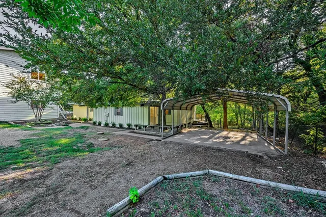 a view of a yard with plants and trees