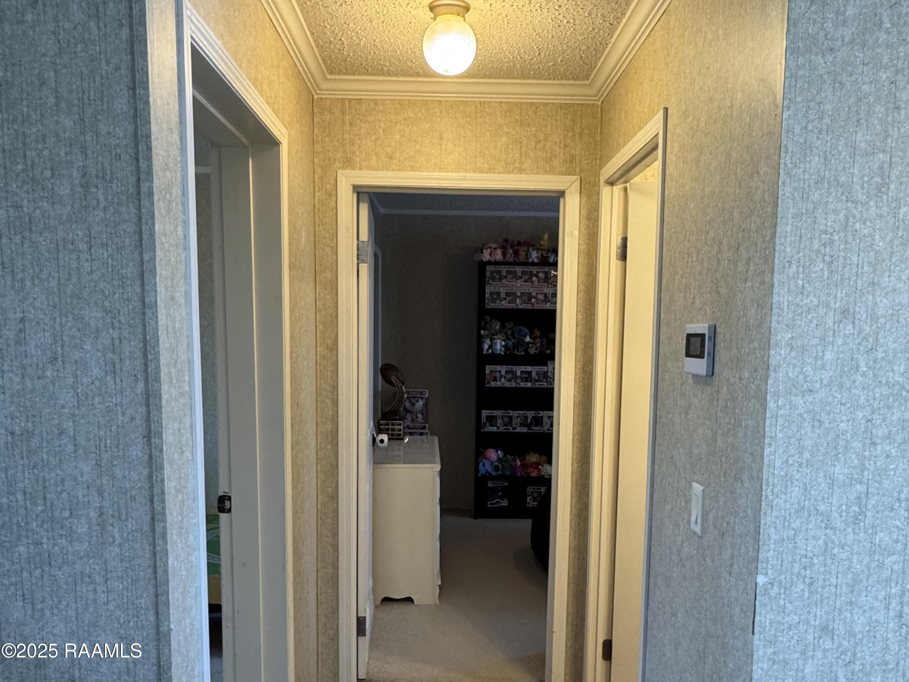 2116 Edia Street Maurice, LA 70555 - Photo 12 of 20 IMG_8711