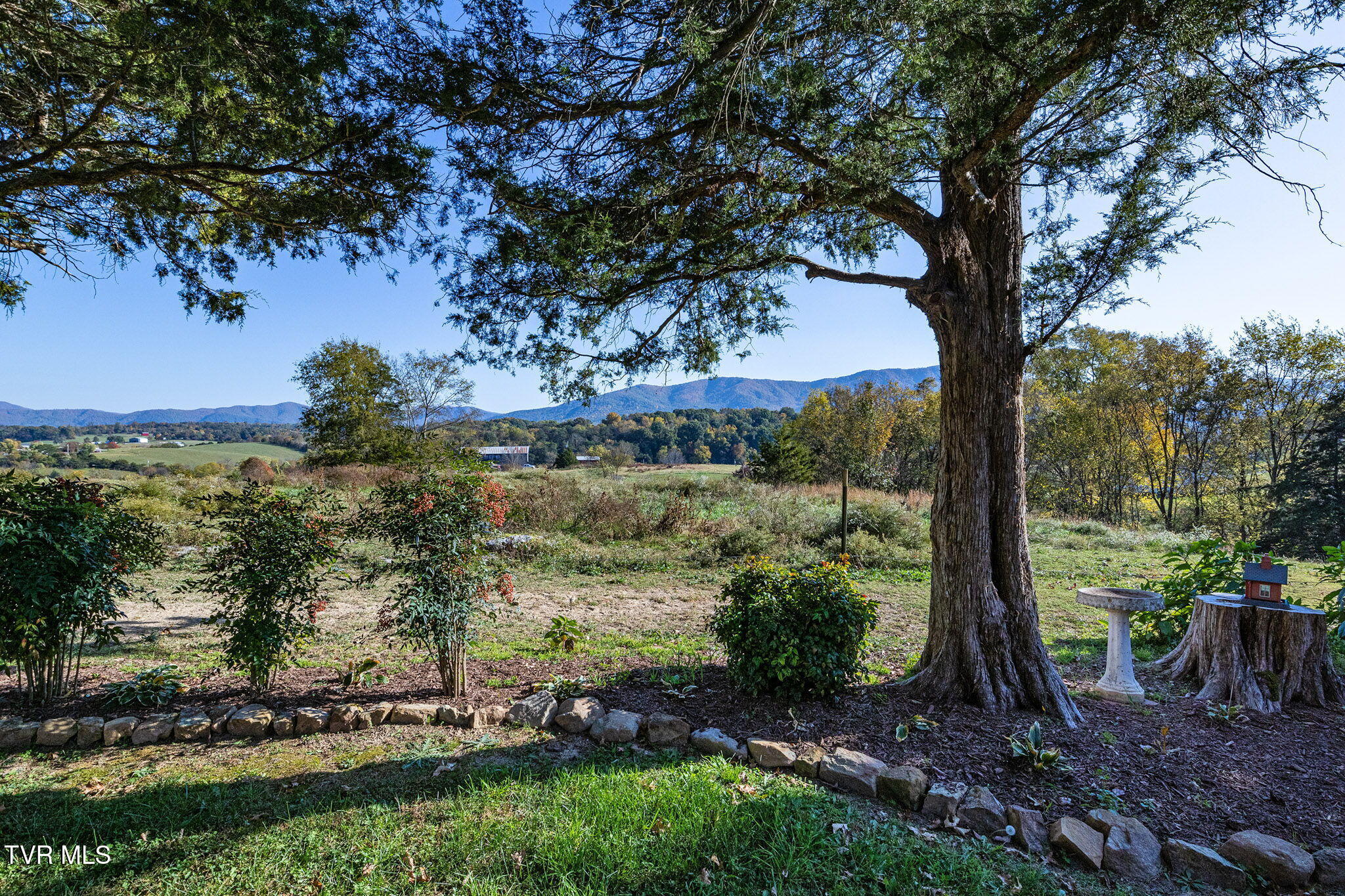 1485 South Allens Bridge Road Greeneville, TN 37743 - Photo 45 of 51 41-web-or-mls-IMG_1072