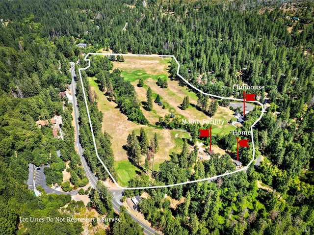 a view of a park with trees and flowers