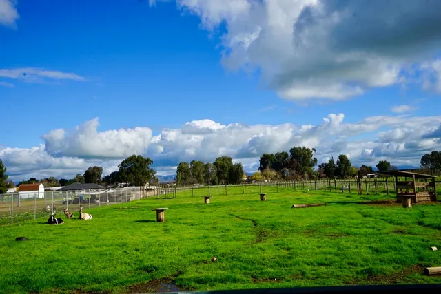 $769,000 | 10340 North Fowler Avenue, Clovis, CA 93619