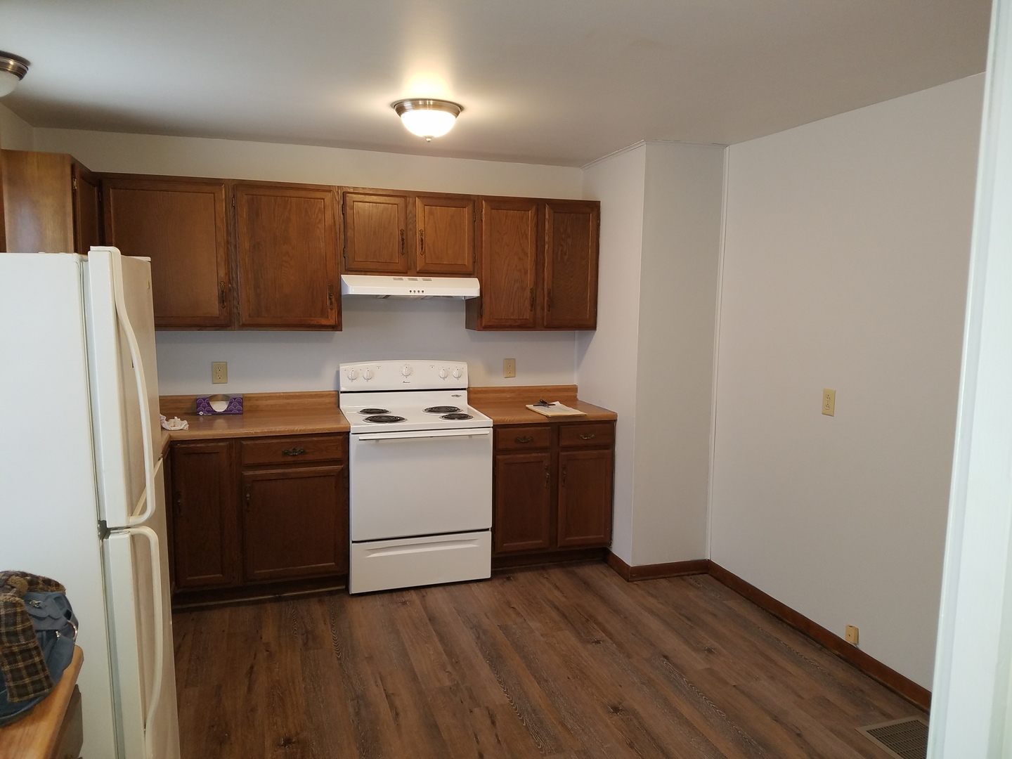 216 South 9th Street Rochelle, IL 61068 - Photo 3 of 17