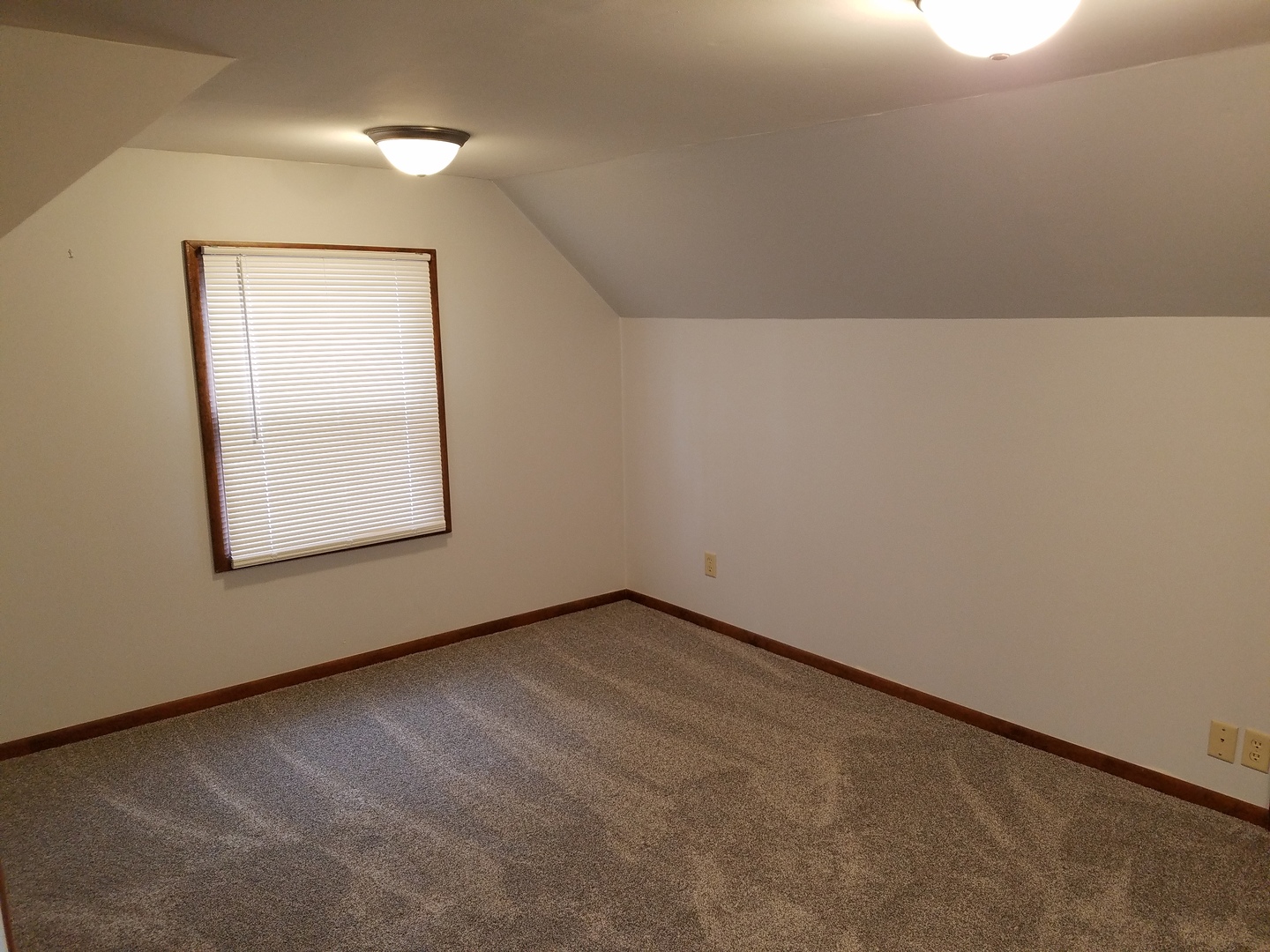 216 South 9th Street Rochelle, IL 61068 - Photo 9 of 17