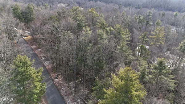 $19,900 | 10 Mountain Laurel Court, Unicoi, TN 37692