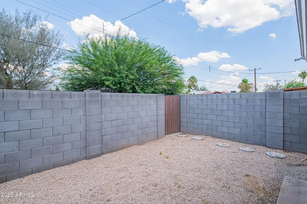 a view of a backyard with a fence and plants