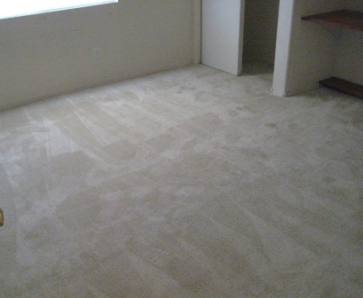 11929 West Larkspur Road El Mirage, AZ 85335 - Photo 3 of 19 NEW CARPET
