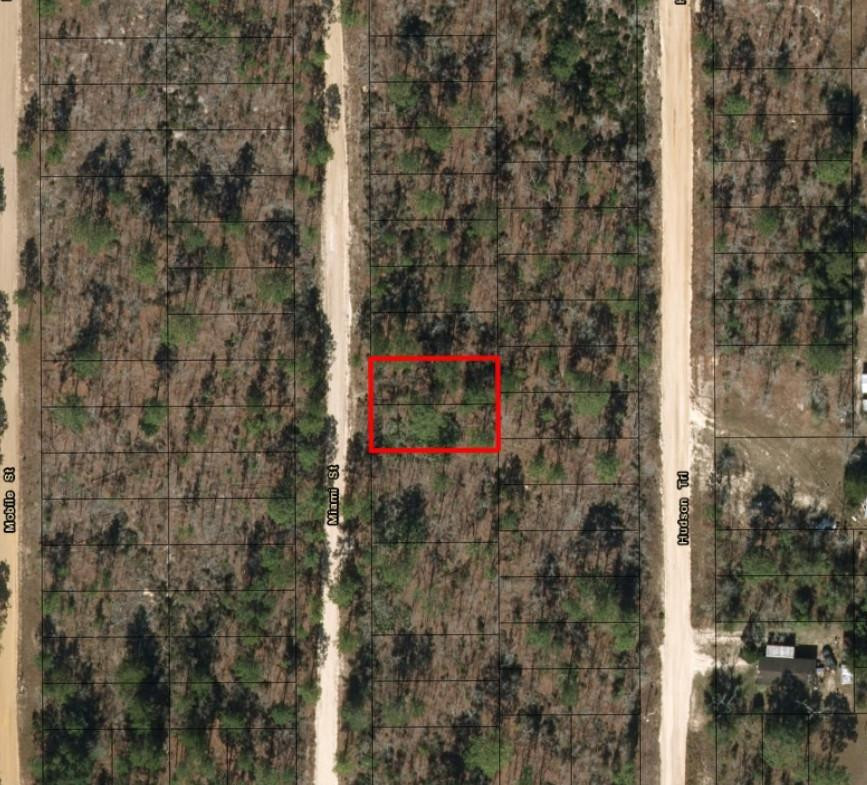 0 Miami Street Interlachen, FL 32148 - Photo 2 of 2 Photo 2
