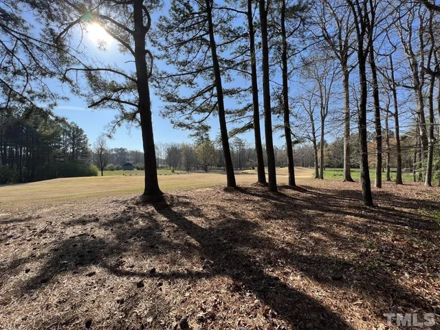 a view of open space with trees