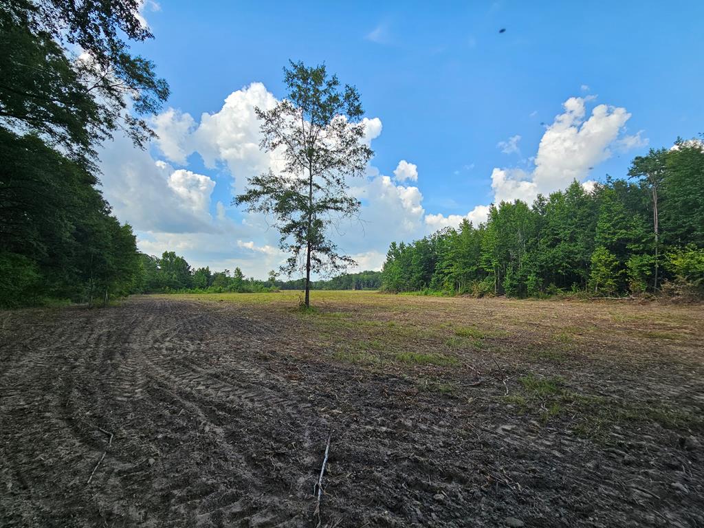 L5 New Hinson Road Slocomb, AL 36375 - Photo 14 of 23