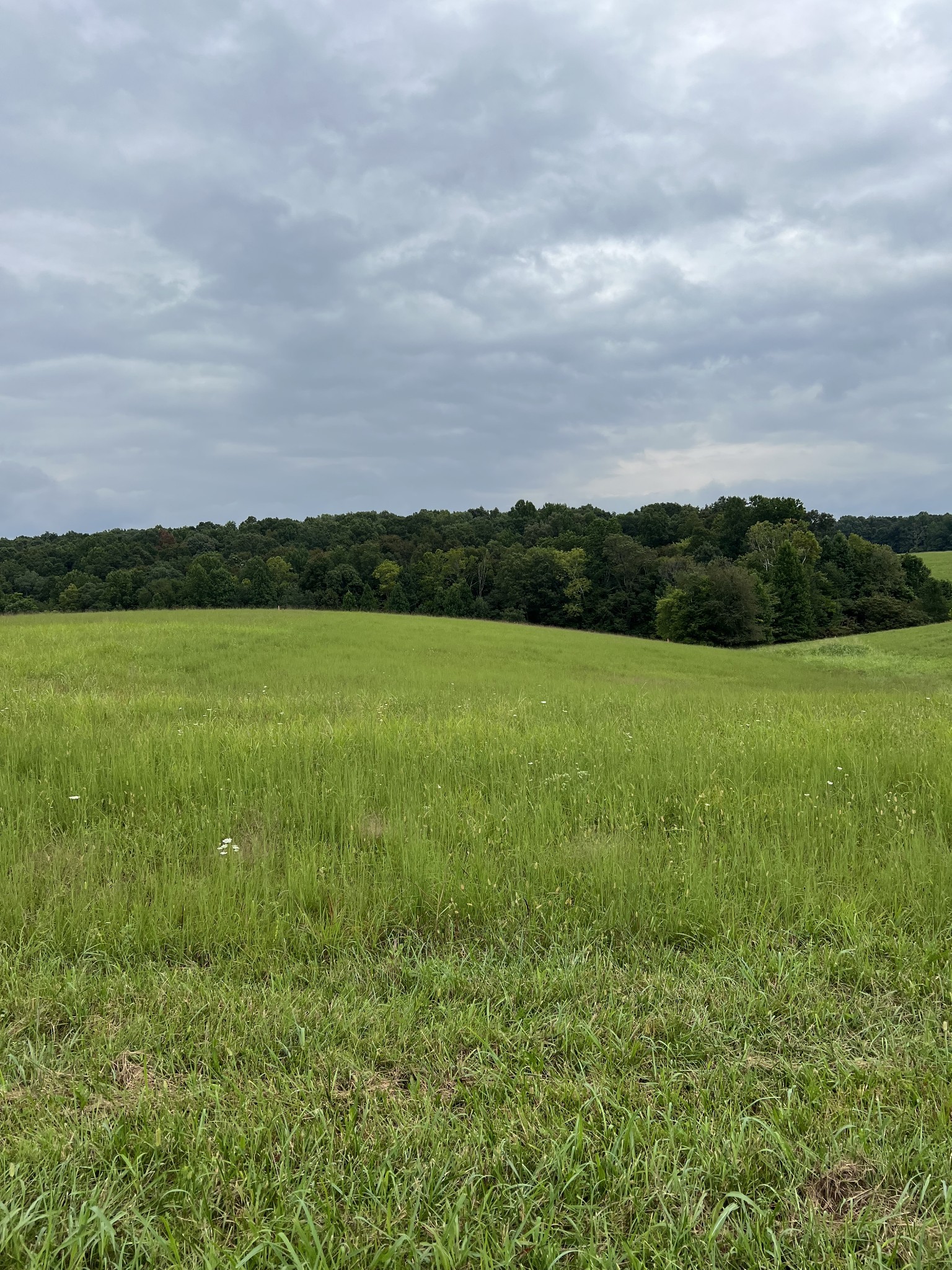 9 Highway 52 Red Boiling Springs, TN 37150 - Photo 2 of 2