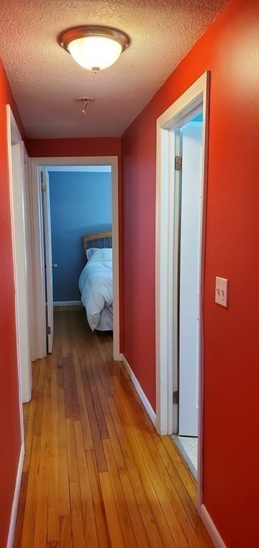 117 Harding Street Chicopee, MA 01013 - Photo 12 of 42 Gallery Image 12