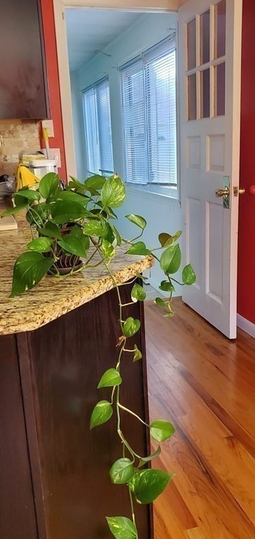 117 Harding Street Chicopee, MA 01013 - Photo 13 of 42 Gallery Image 13