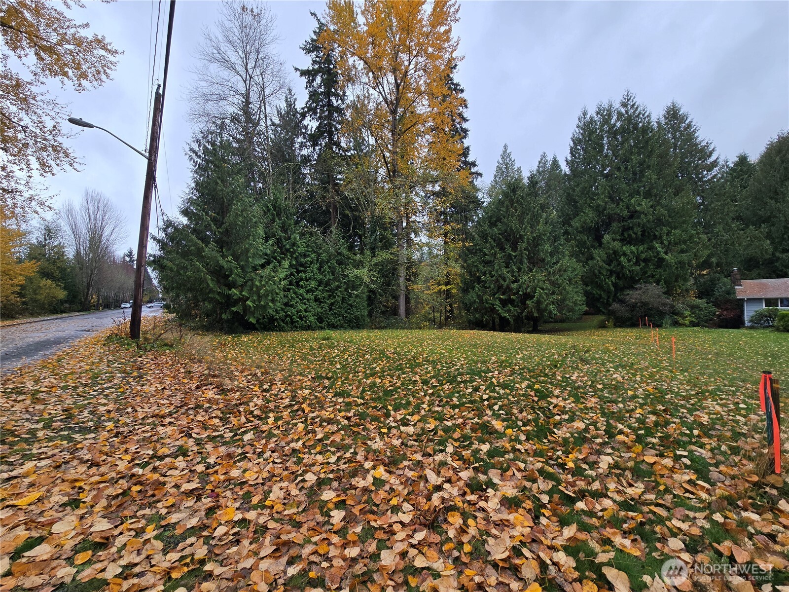 10415 Slater Avenue Northeast Kirkland, WA 98033 - Photo 1 of 38 a view of outdoor space