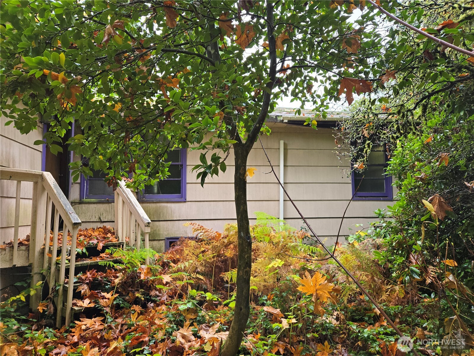 10415 Slater Avenue Northeast Kirkland, WA 98033 - Photo 11 of 38 a backyard of a house with lots of green space
