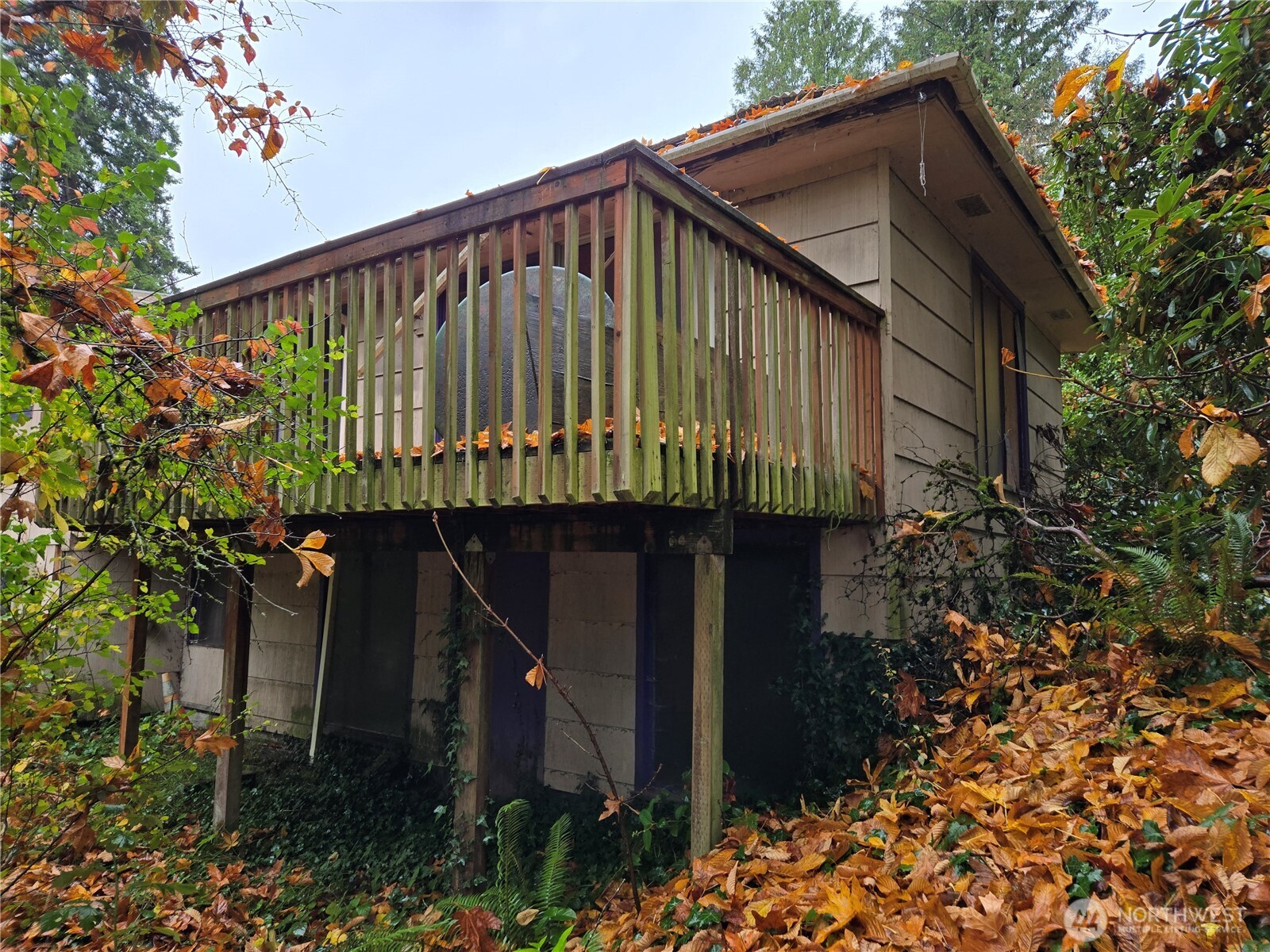10415 Slater Avenue Northeast Kirkland, WA 98033 - Photo 13 of 38 a front view of a house with a garden