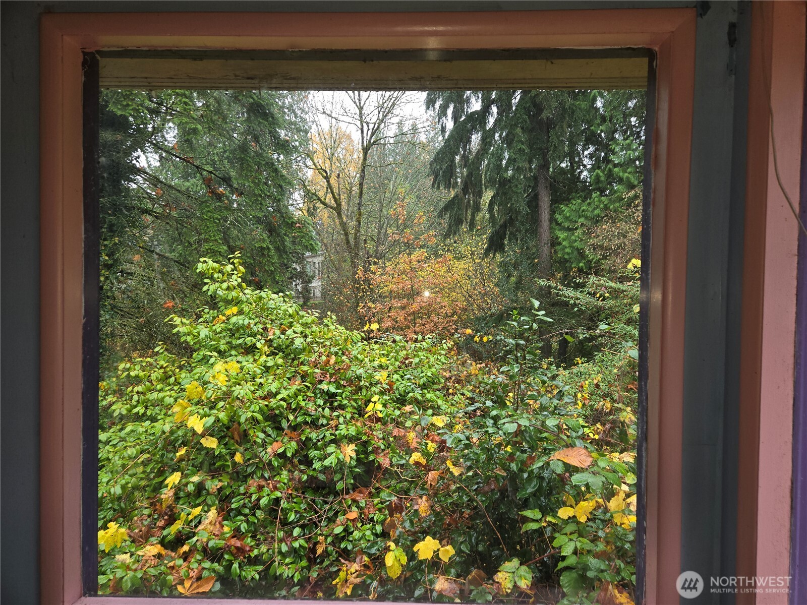 10415 Slater Avenue Northeast Kirkland, WA 98033 - Photo 19 of 38 a view of a garden from a window