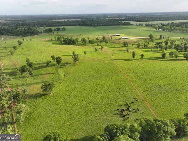 $1,700,000 | 1412 Clark Road, Blakely, GA 39823