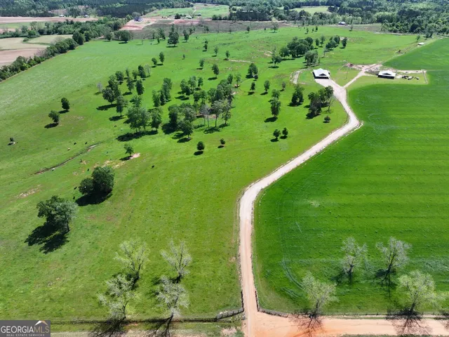 $1,700,000 | 1412 Clark Road, Blakely, GA 39823