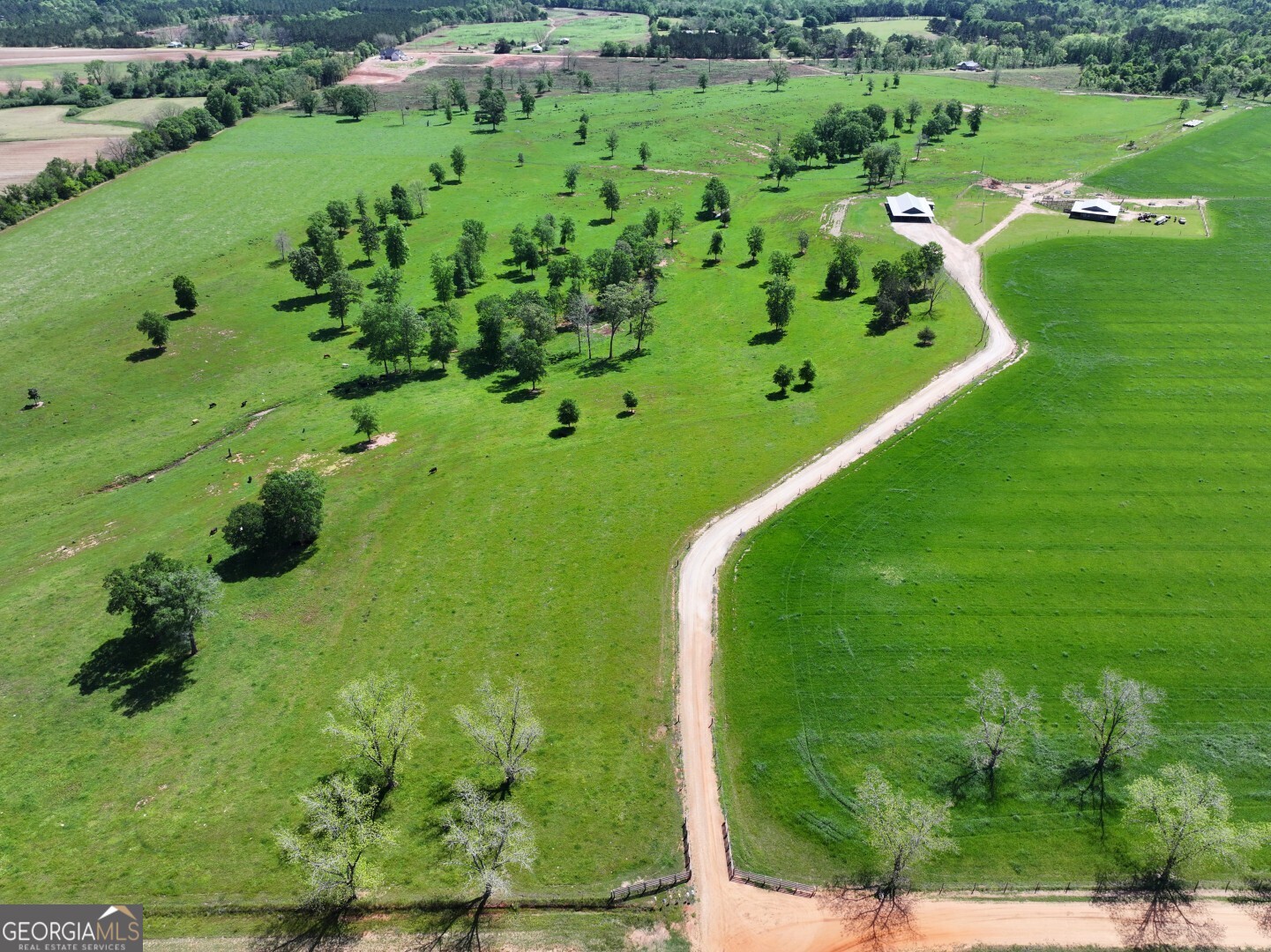 1412 Clark Road Blakely, GA 39823 - Photo 38 of 46 a green field with lots of green space