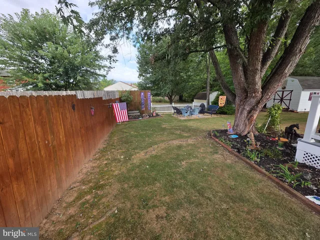 a view of a backyard with plants and a tree