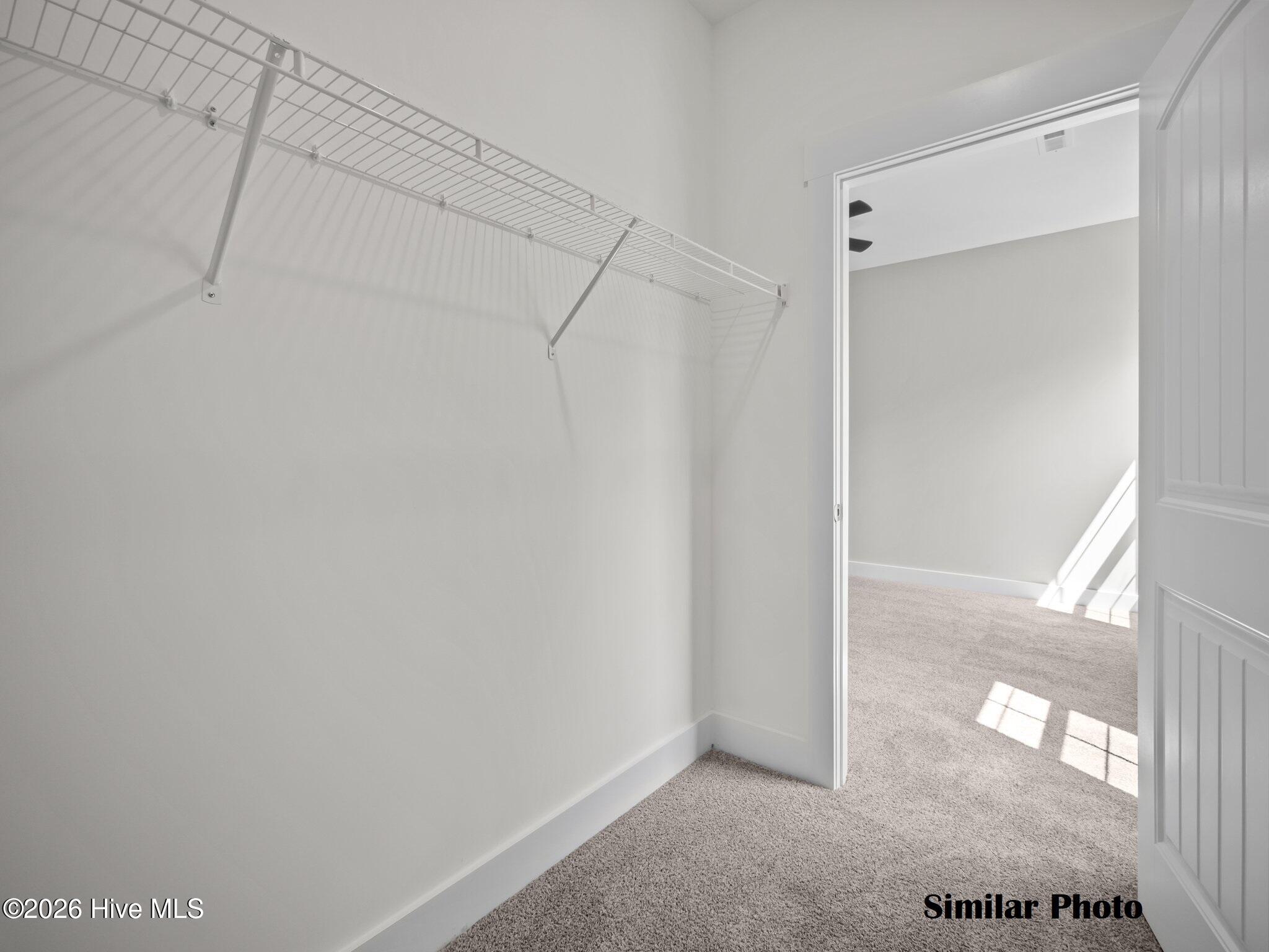 211 Holly Sands Loop Holly Ridge, NC 28445 - Photo 23 of 32 Walk In Closet Primary Bed 2