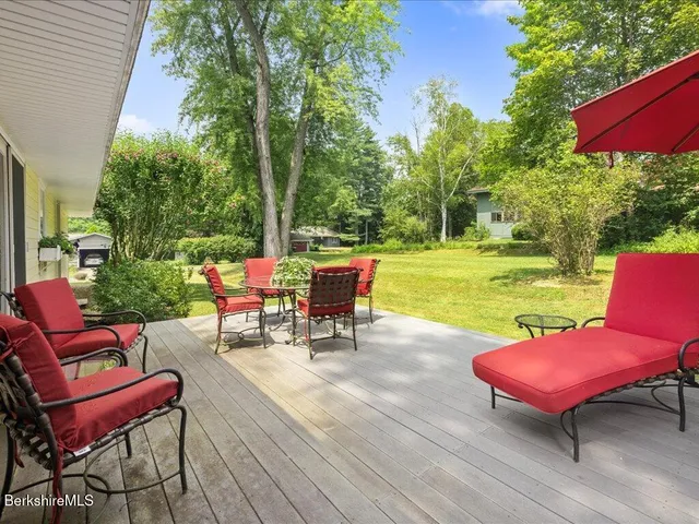 a view of a backyard with plants and large trees