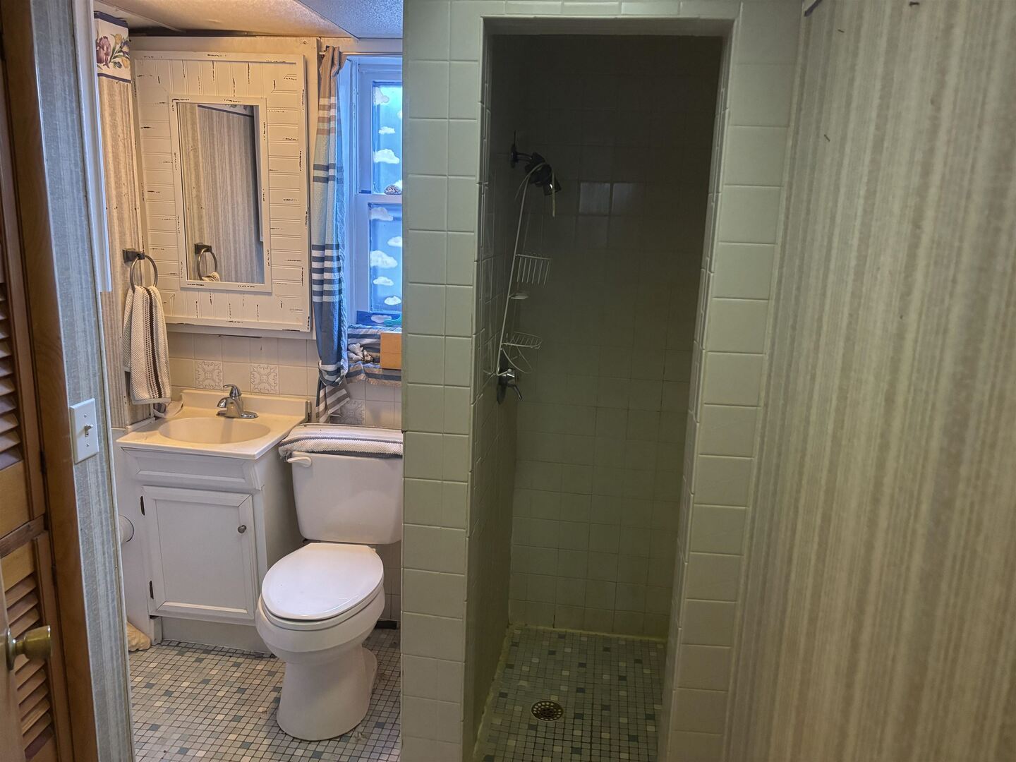 205 Jefferson Street Gorham, IL 62940 - Photo 13 of 17 a bathroom with a toilet a sink and shower curtain