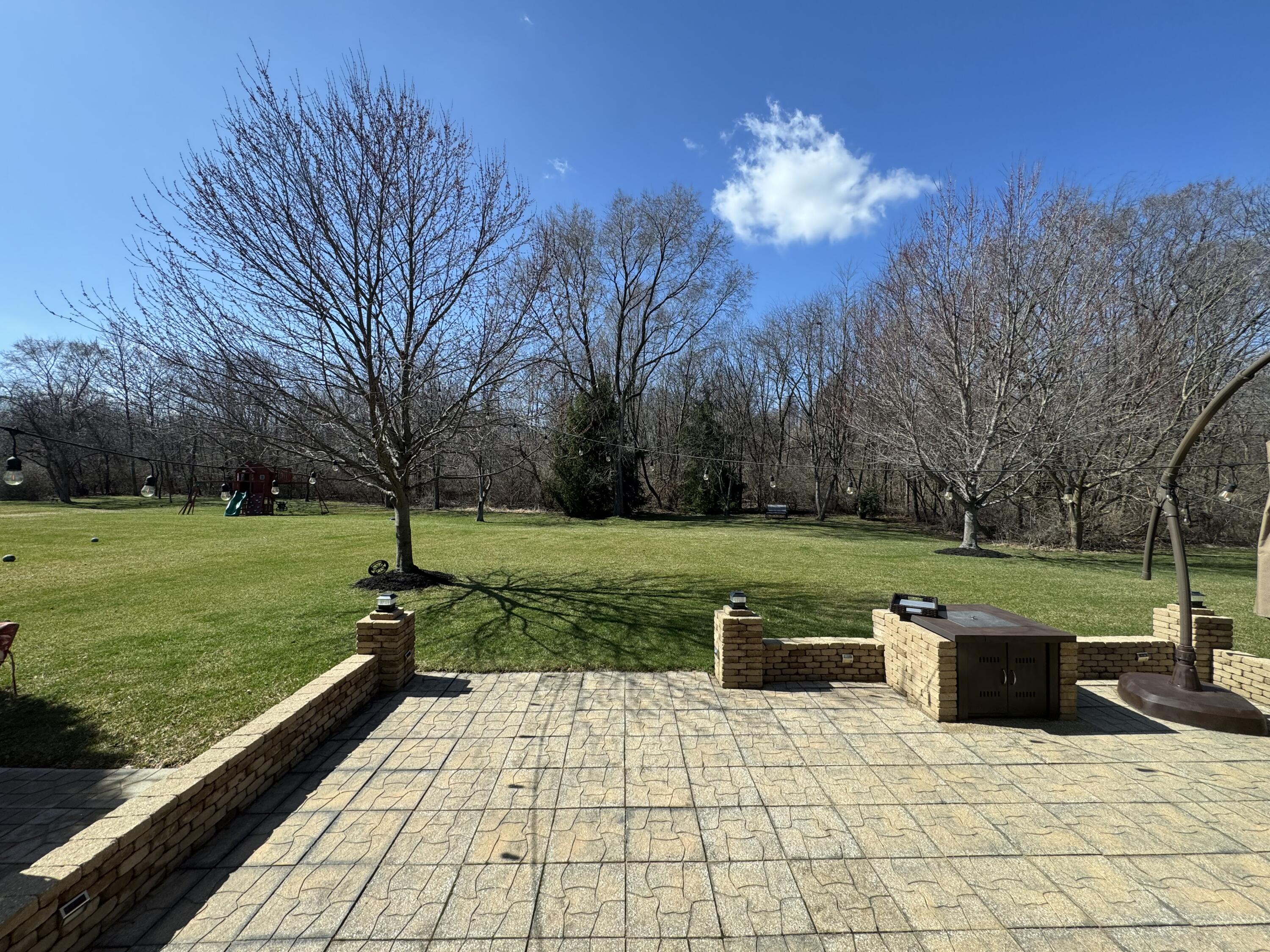 10588 Erie Drive Crown Point, IN 46307 - Photo 5 of 45 a view of a garden with an outdoor space