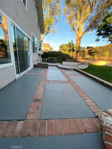 a view of a yard with plants and trees
