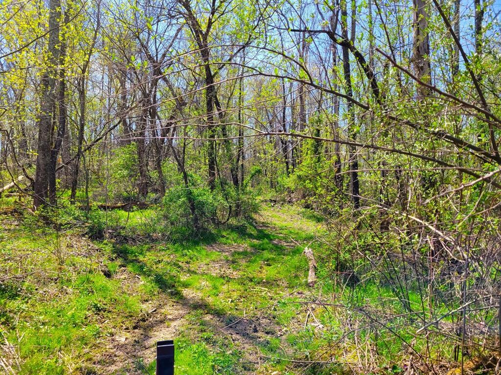 8670 Hoop Pole Road Roseville, OH 43777 - Photo 48 of 65 20220424_130104
