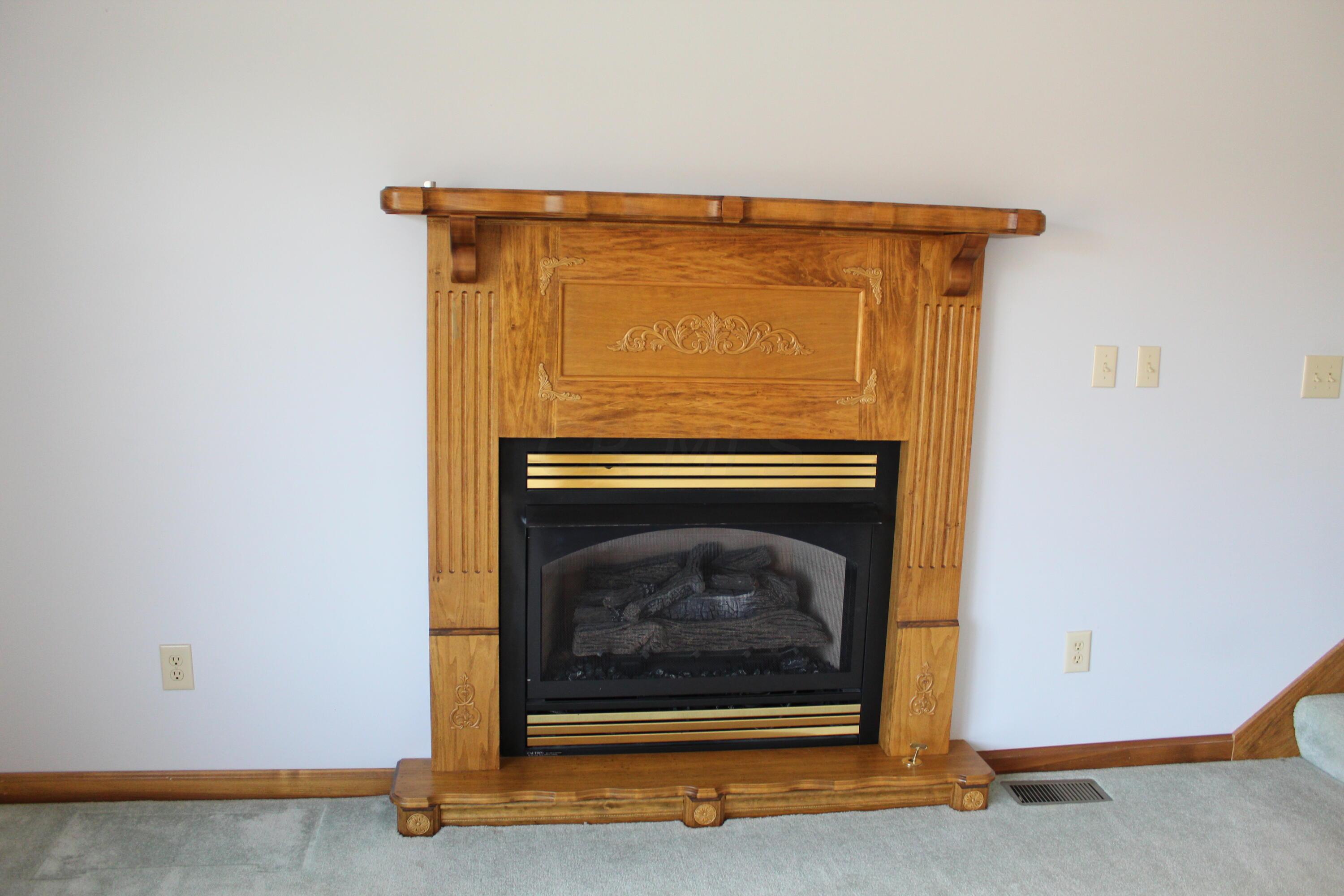 570 Todds Ridge Road Wilmington, OH 45177 - Photo 26 of 38 GR Fireplace