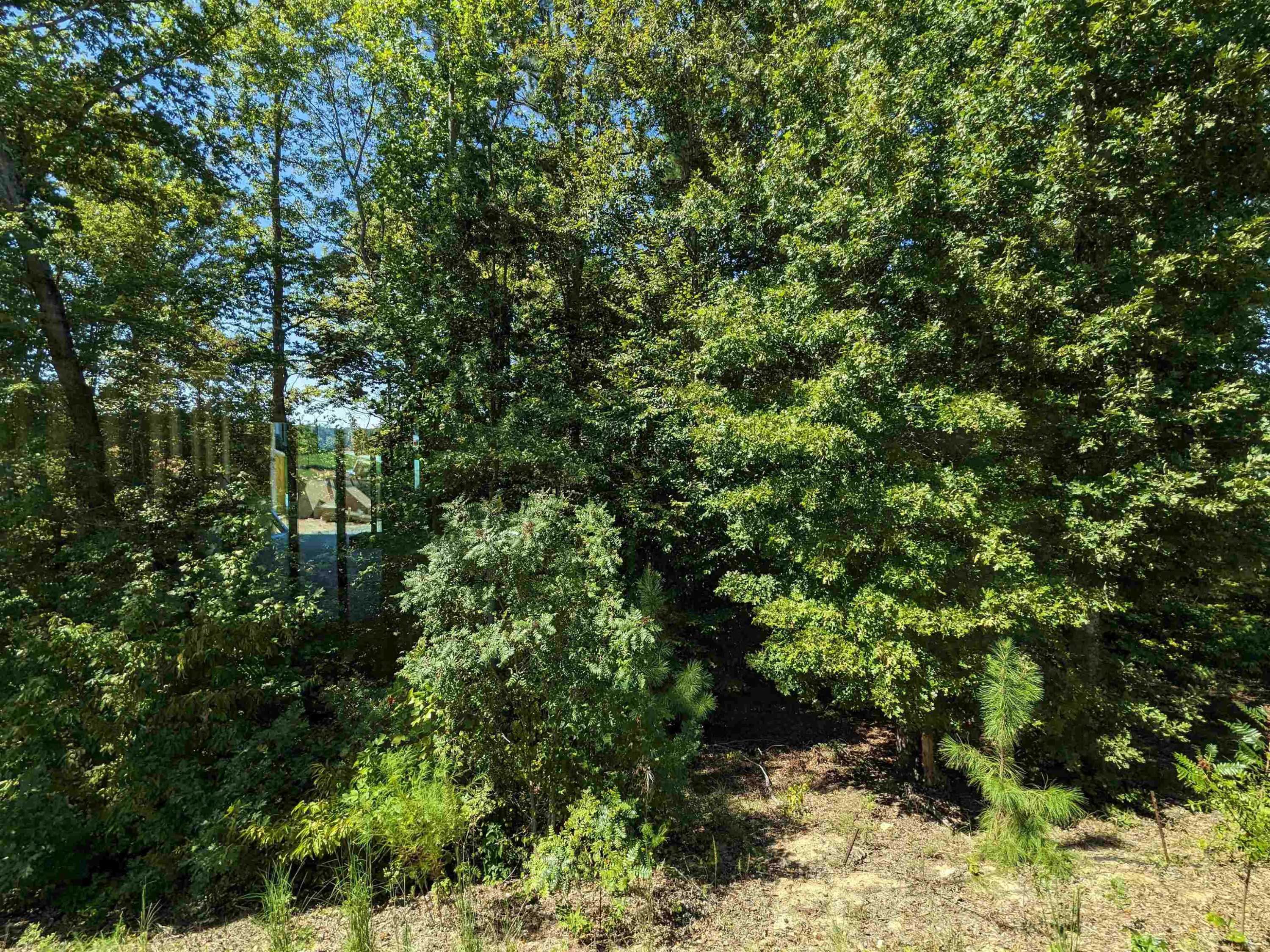 98 Hidden Grove Garner, NC 27529 - Photo 11 of 20 Photo 11