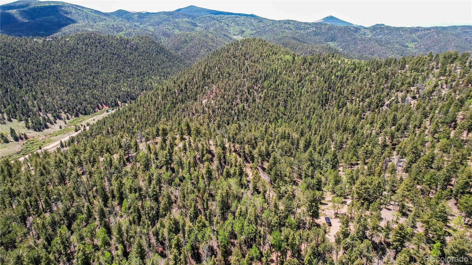 59 Robin Point Divide, CO 80814 - Photo 23 of 30 a view of a forest with mountains in the background