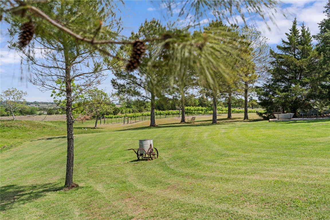 5025 Wickel Road Burton, TX 77835 - Photo 48 of 49