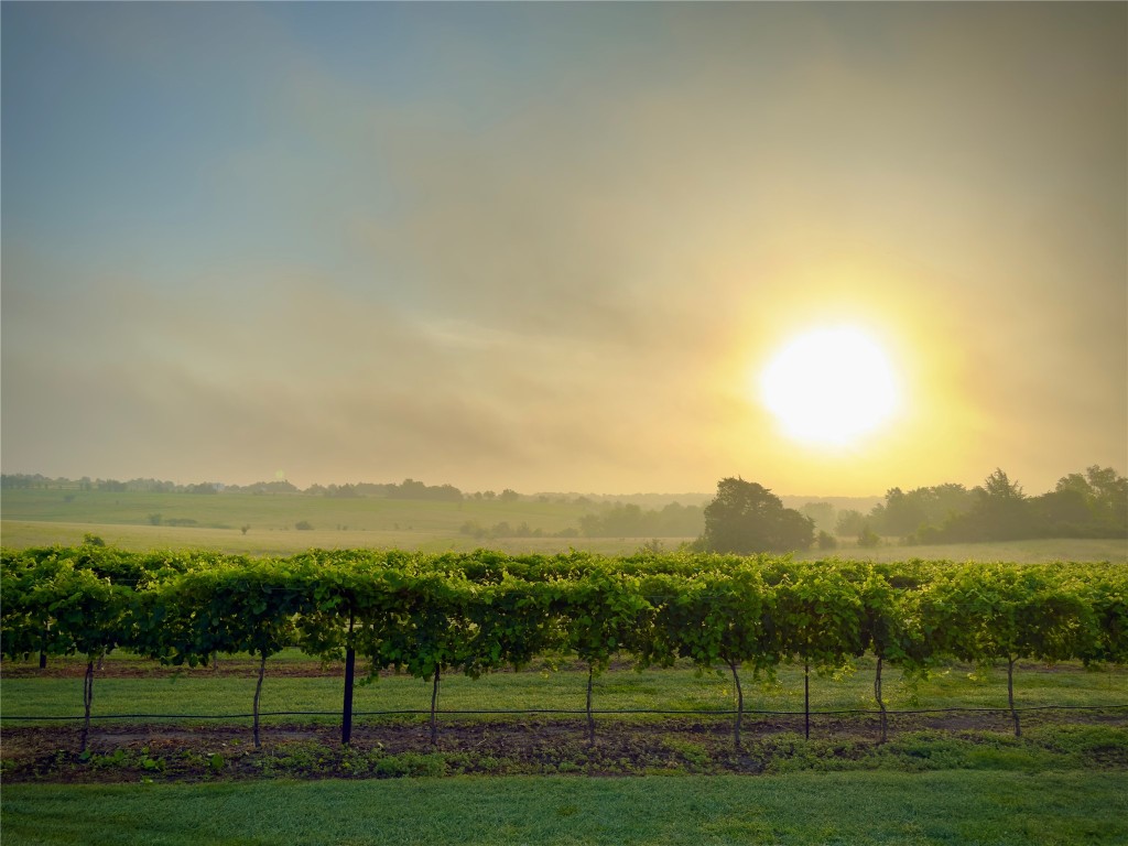 5025 Wickel Road Burton, TX 77835 - Photo 49 of 49