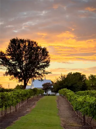 $3,650,000 | 5025 Wickel Road, Burton, TX 77835