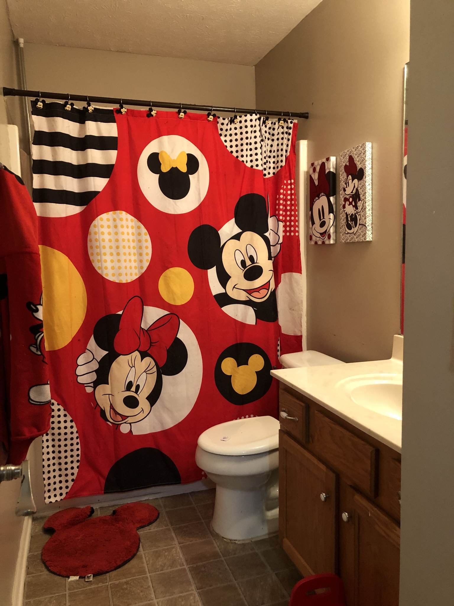725 Crescent Road Murfreesboro, TN 37128 - Photo 15 of 16 a bathroom with a toilet sink vanity and mirror