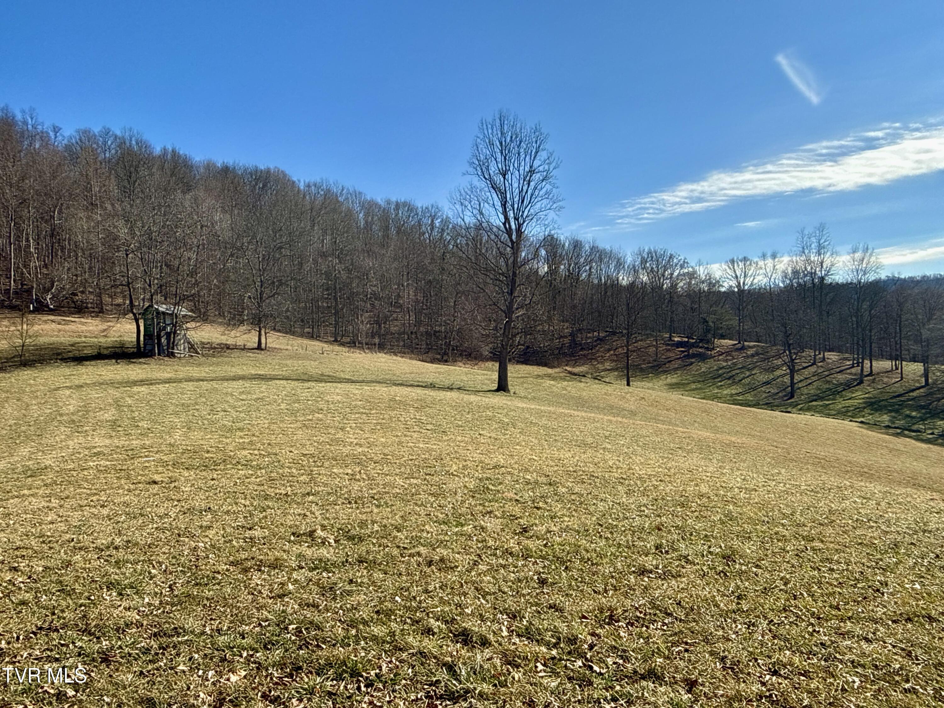219 Ridge Road Eidson, TN 37731 - Photo 48 of 72 _Pic49 (12)