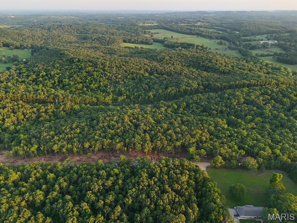 3 Cantrell Road Mansfield, MO 65704 - Photo 12 of 14