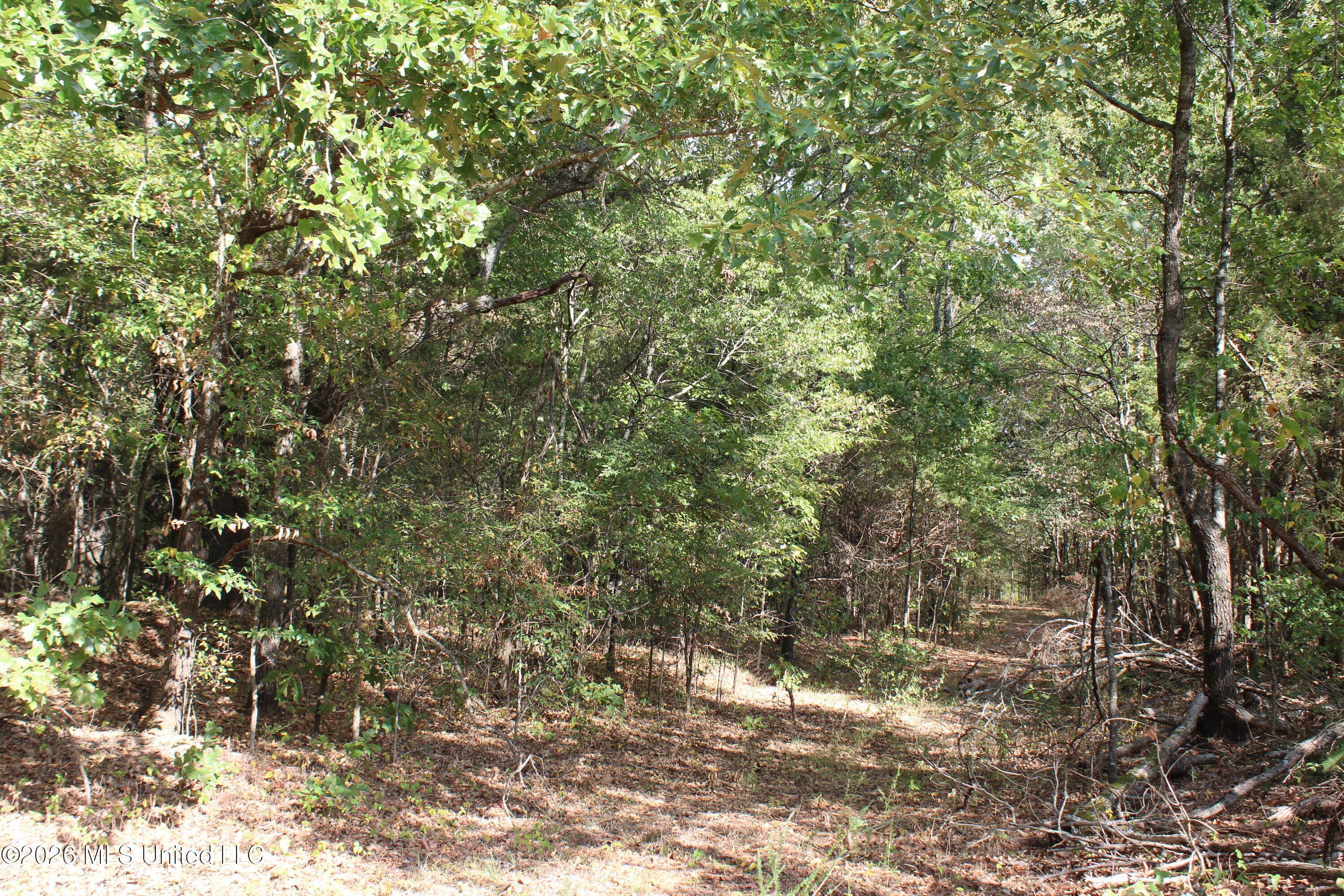 15 Tulane Road Nesbit, MS 38651 - Photo 44 of 64 IMG_8212