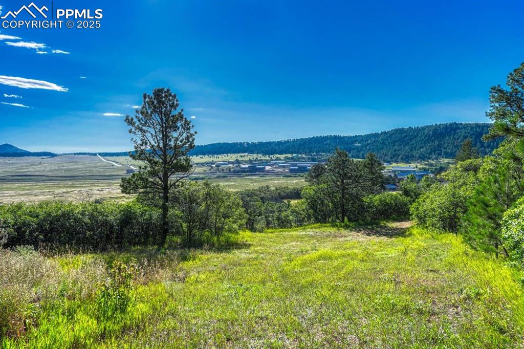 0 Columbine Road Palmer Lake, CO 80133 - Photo 1 of 37 a view of outdoor space with mountain view
