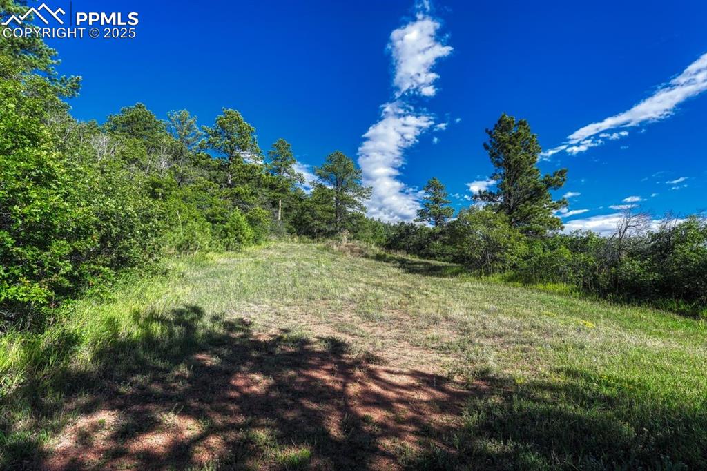 0 Columbine Road Palmer Lake, CO 80133 - Photo 12 of 37 a view of a house with a yard