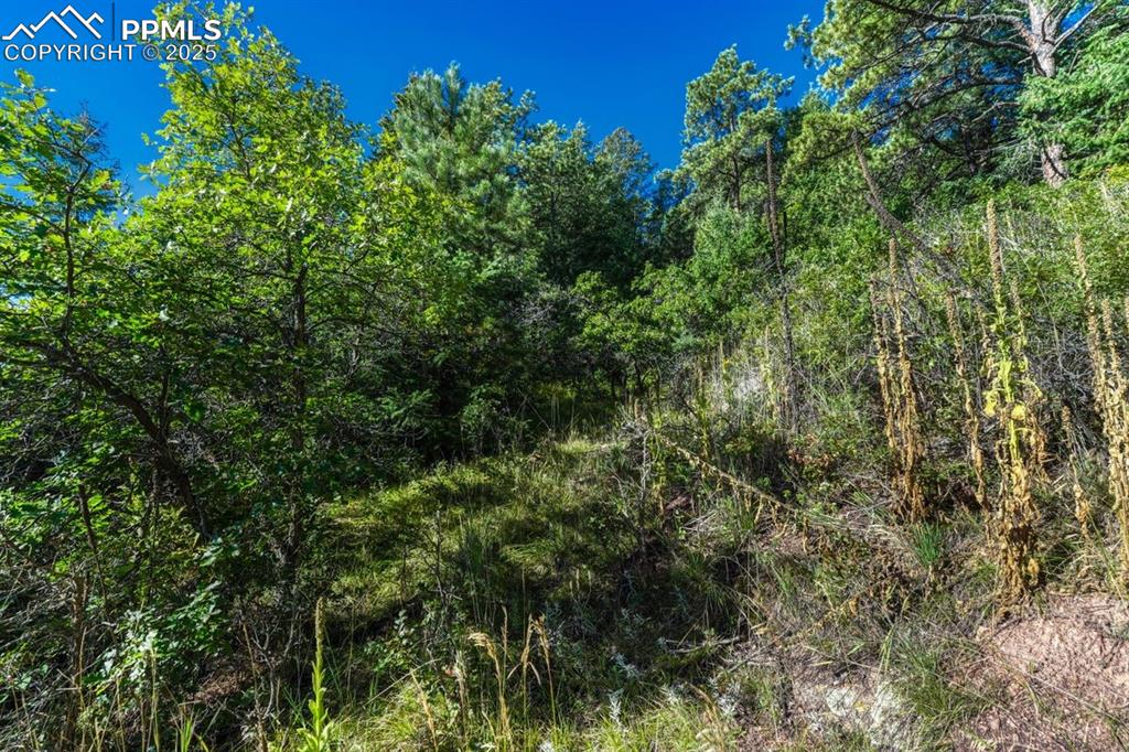 0 Columbine Road Palmer Lake, CO 80133 - Photo 15 of 37 an aerial view of residential house with outdoor space and trees all around