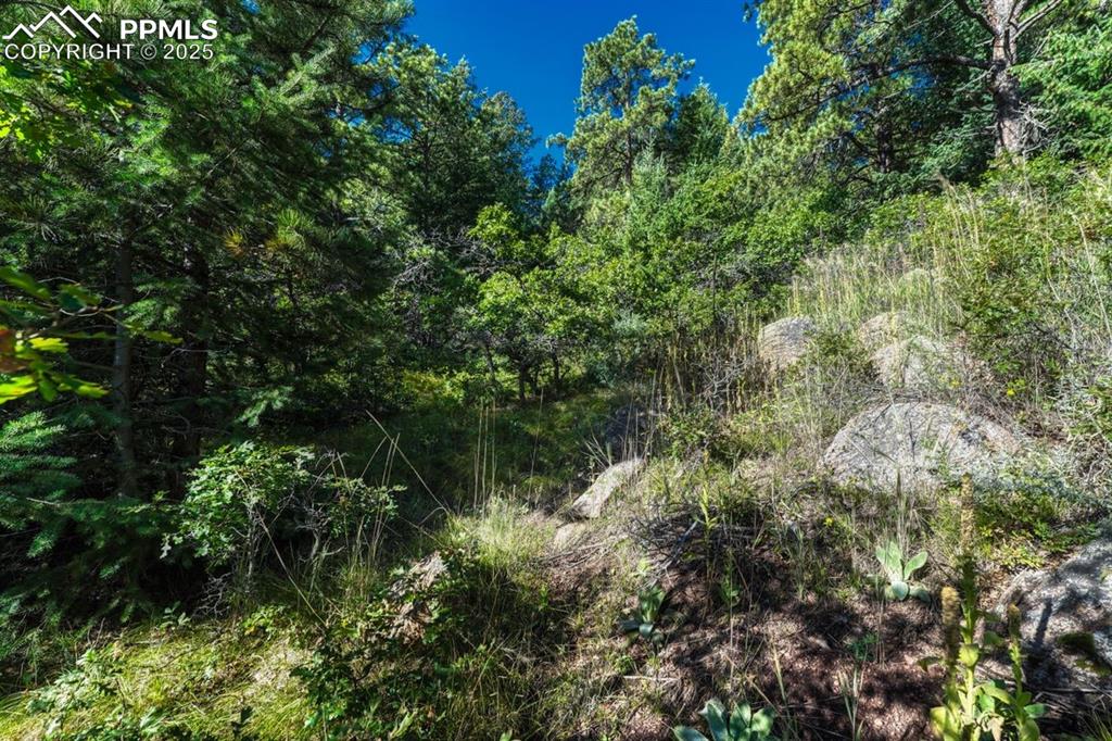 0 Columbine Road Palmer Lake, CO 80133 - Photo 17 of 37 a view of a garden